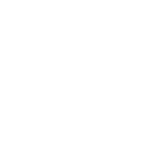 icon mobile